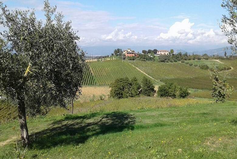 Agroturismo Agriturismo Musignano