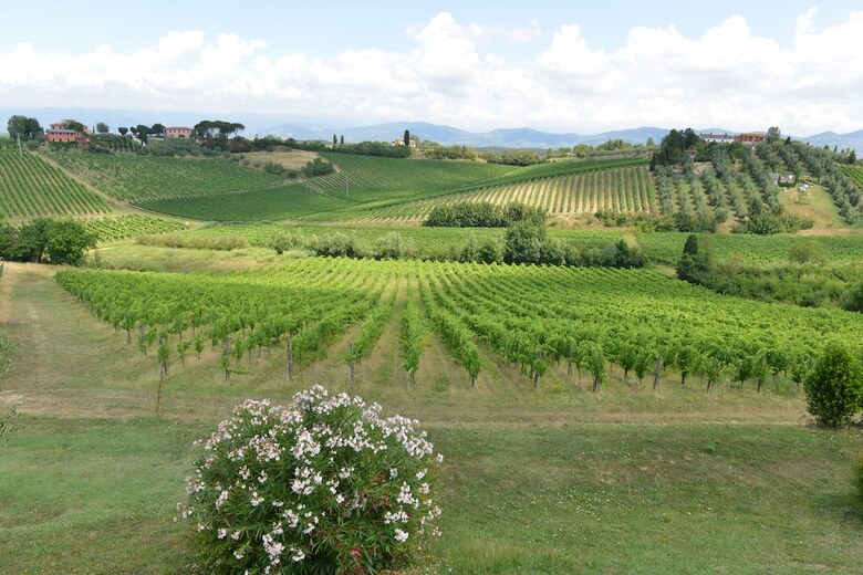Agroturismo Agriturismo Musignano
