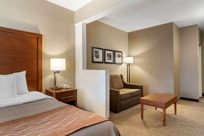 Hotel Comfort Inn & Suites Suwanee - Sugarloaf