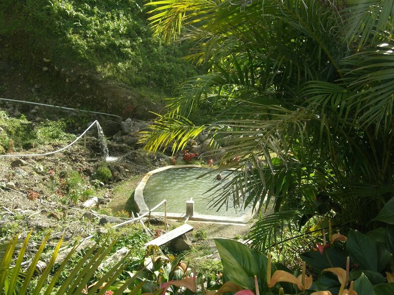 Tamarind Tree Hotel And Restaurant
