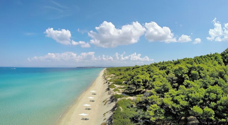 Hotel Sani Beach