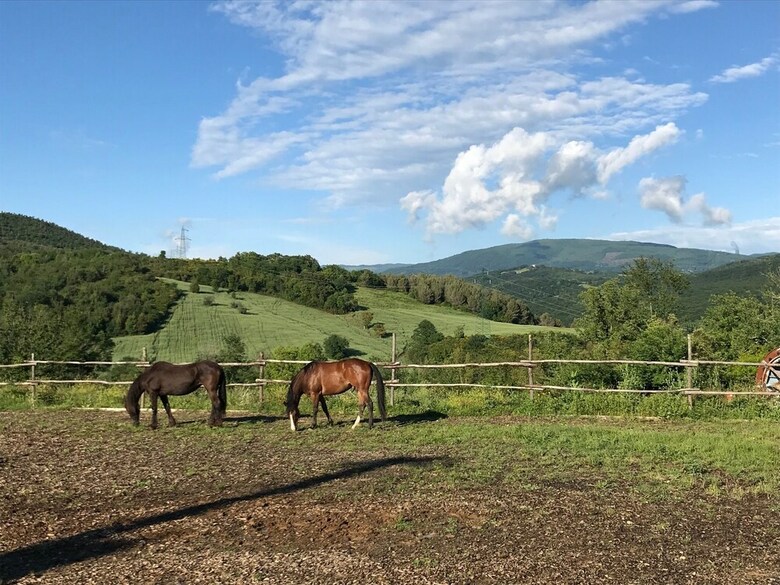 Agroturismo Agriturismo San Ottaviano