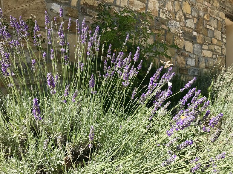 Agroturismo Agriturismo San Ottaviano