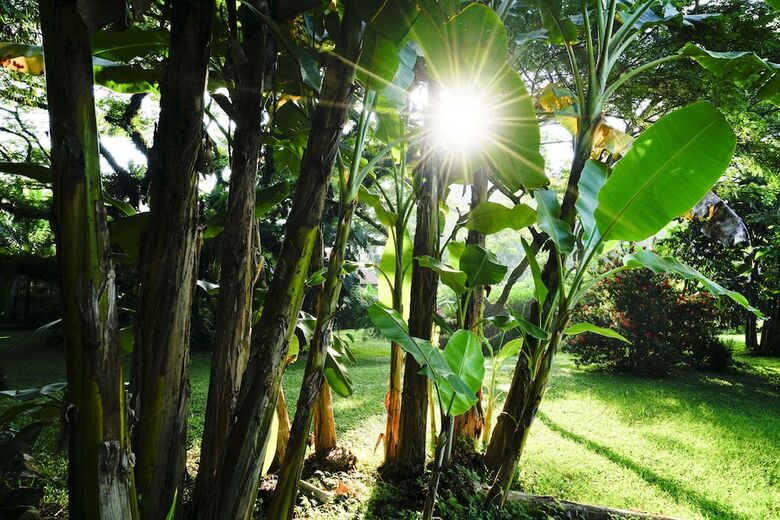 Villa Ecovital Costa Rica