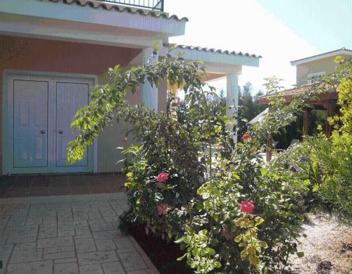 Peyia Villas Cyprus