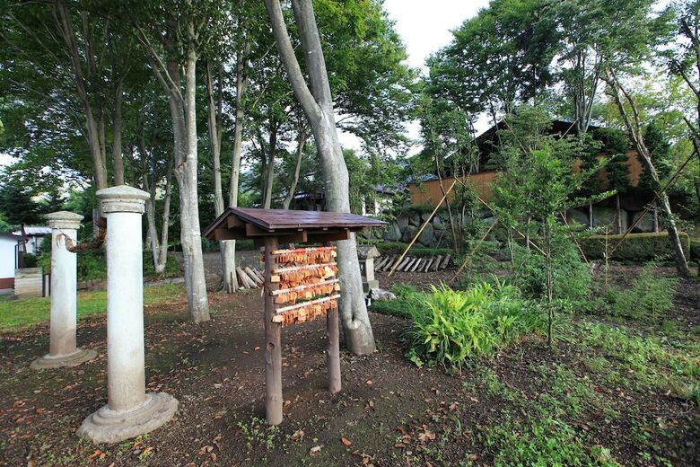 Sarugakyo Onsen Shojuen