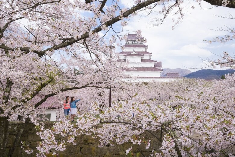 Hoshino Resorts Bandaisan Onsen Hotel