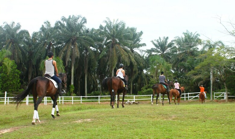 Apartamento Riders Lodge Resort - The Original