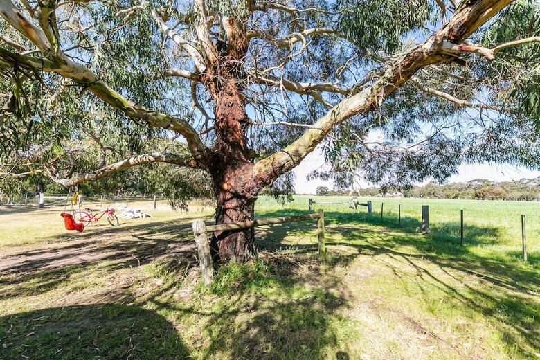 Freshwater Creek Cottages And Farm Stay
