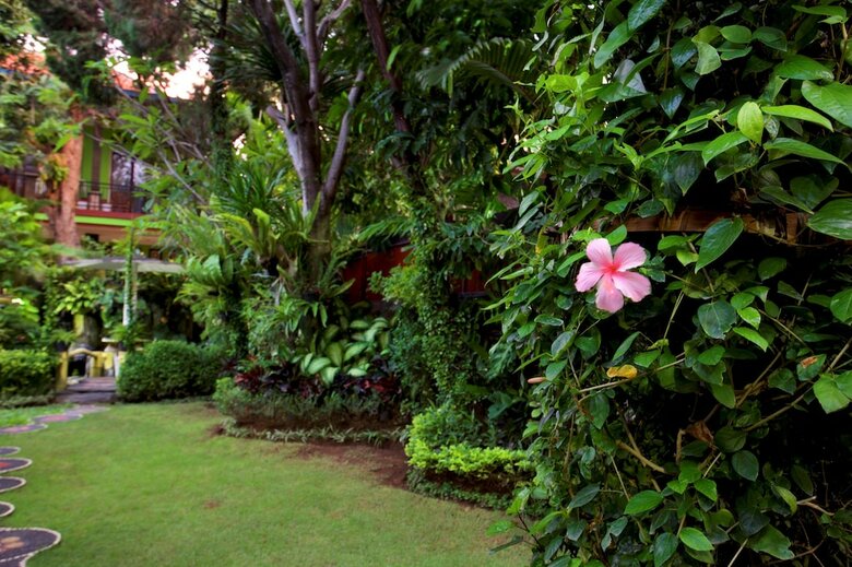 Hotel Budhas Guest House