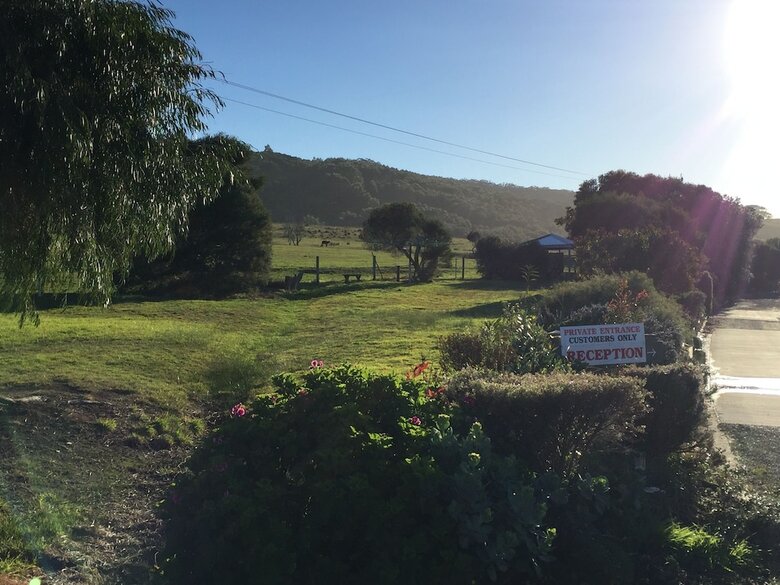 Skenes Creek Lodge Motel And Restaurant