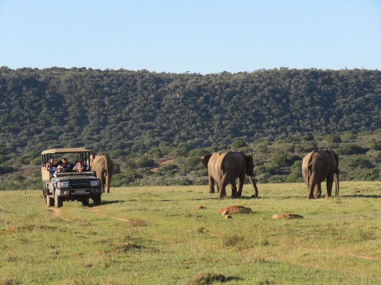 Posada Woodbury Tented Camp-amakhala Game Reserve
