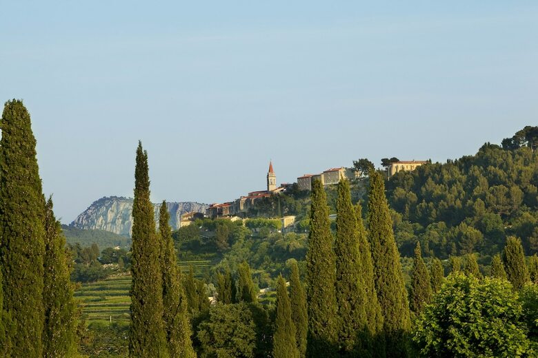 Hotel Boutique H�tel - Hostellerie B�rard & Spa