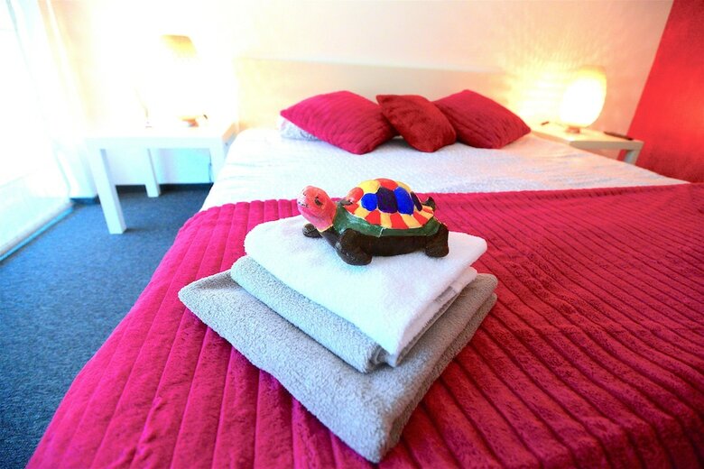 Hotel Biscuit