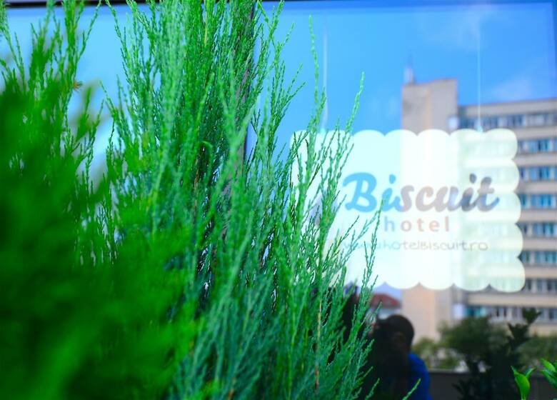 Hotel Biscuit