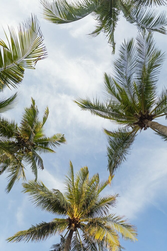 Hotel Dessole Beach Resort Muine