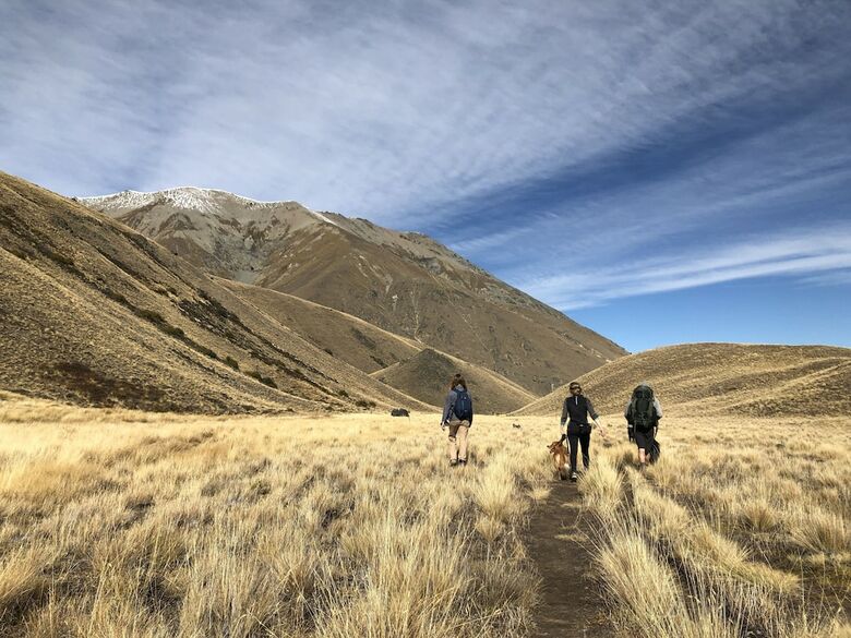 Hostal Tailor Made Tekapo Accommodation - Guesthouse & Hostel