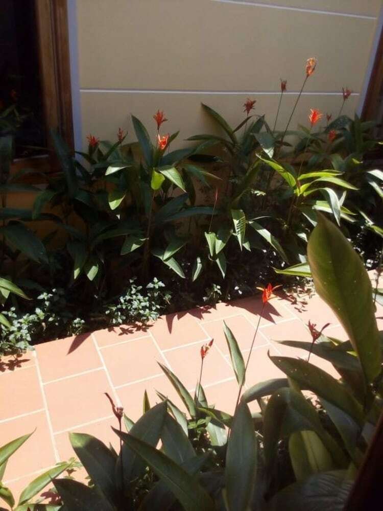 Hotel Lien Tho Guesthouse