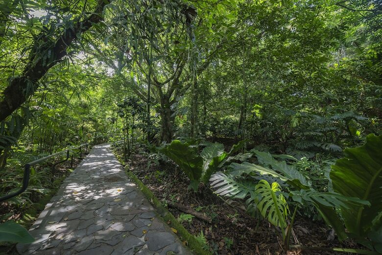Hotel Jaguarundi Lodge