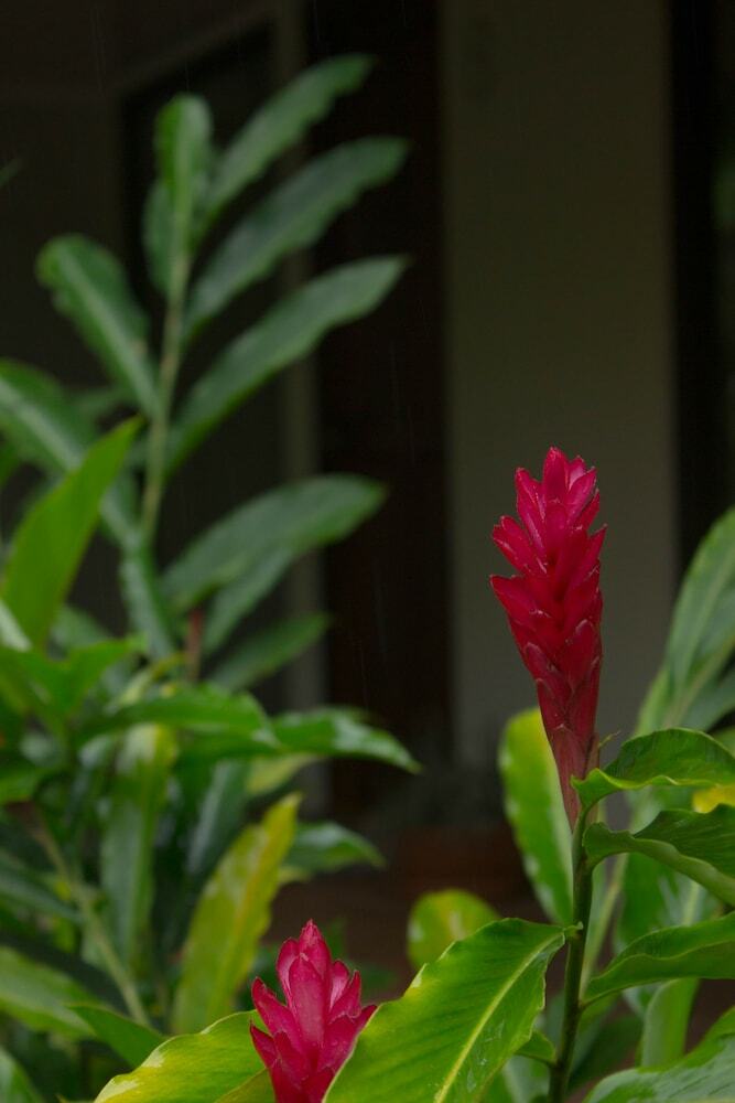 Tifakara Boutique Hotel & Birding Oasis