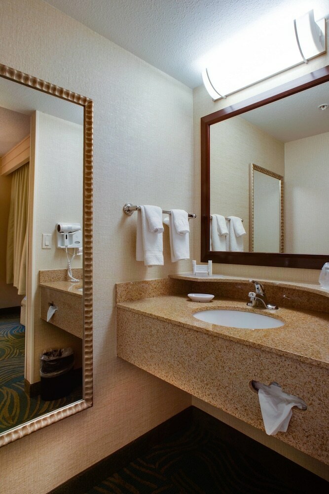 Hotel Springhill Suites By Marriott Savannah Airport
