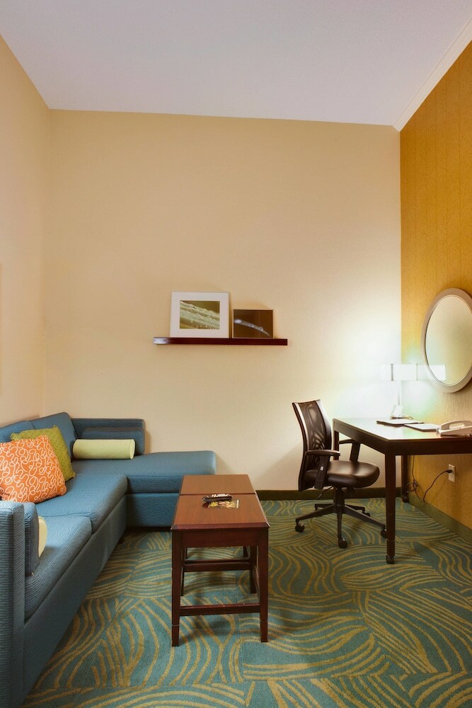 Hotel Springhill Suites By Marriott Savannah Airport