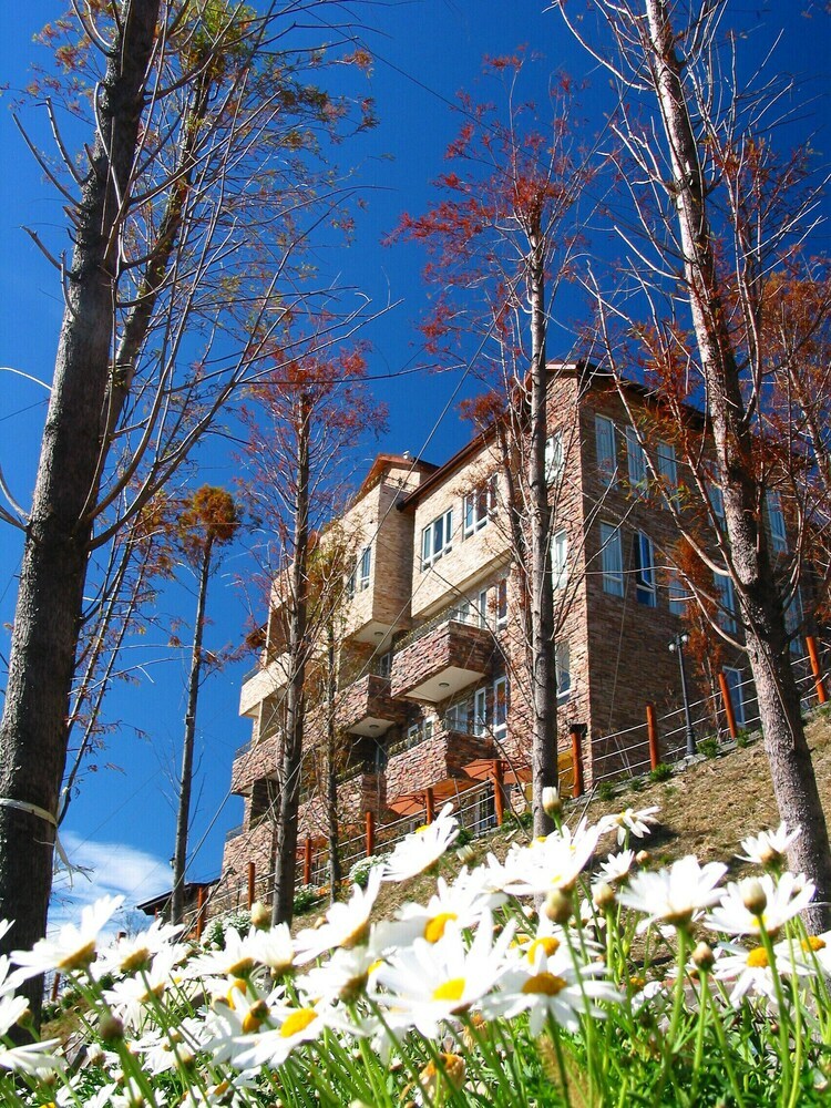 Bed & Breakfast Florence Resort Villa - Italianate Villa