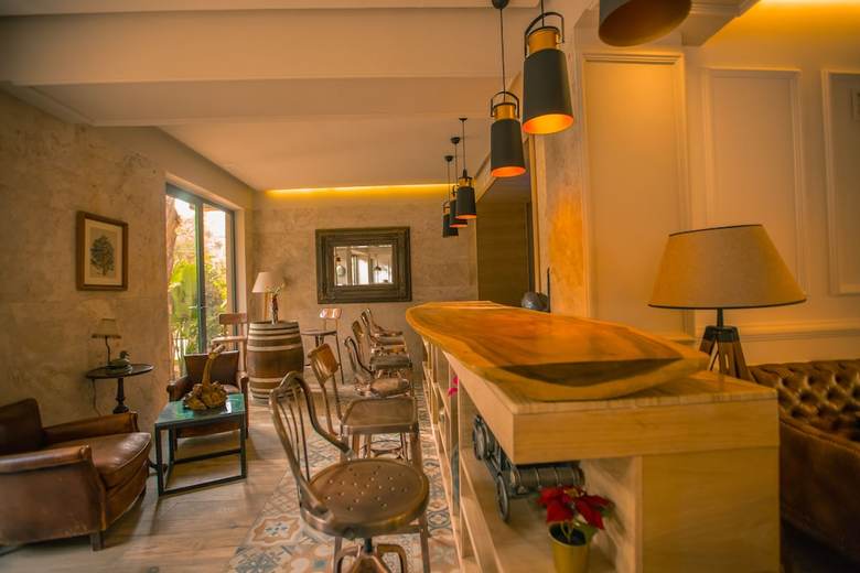 Hotel Domaine Villate Limoune