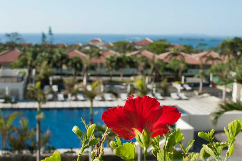 Apartamento Kanucha Bay Hotels & Villas