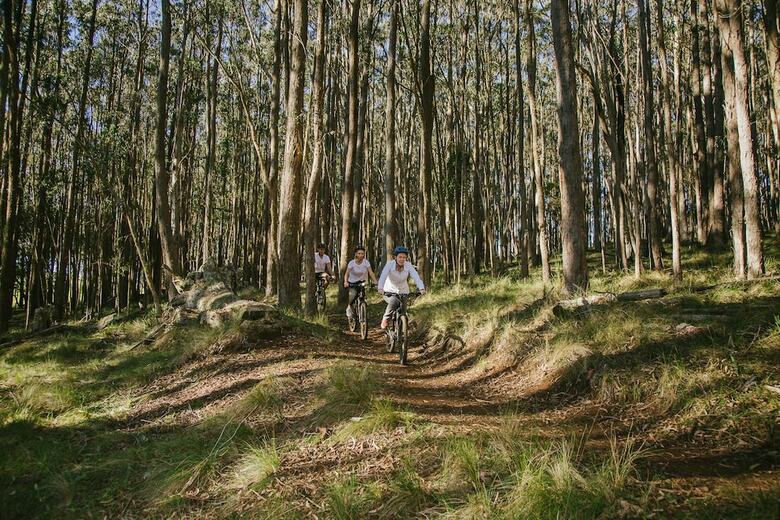 Hotel Spicers Peak Lodge - All Inclusive