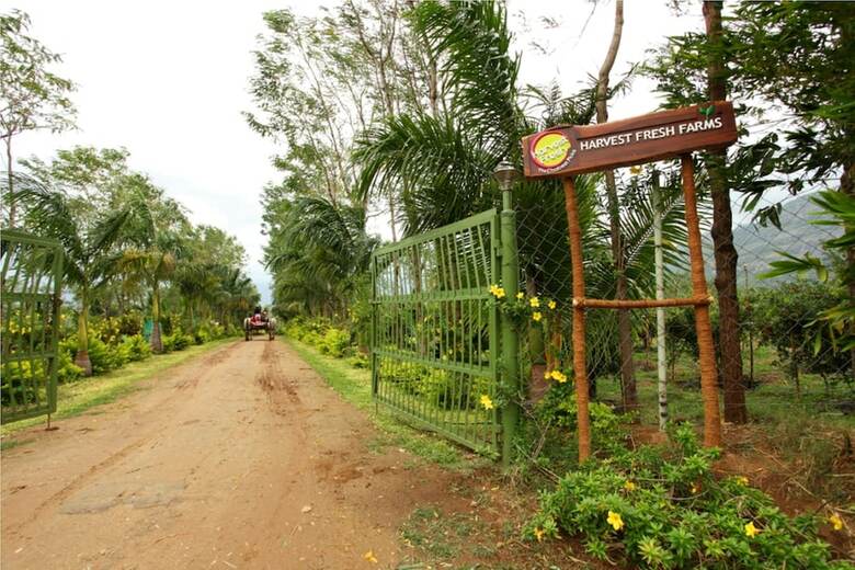Agroturismo Harvest Fresh Farms