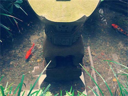 Hostal Longxinfang Garden Guest House