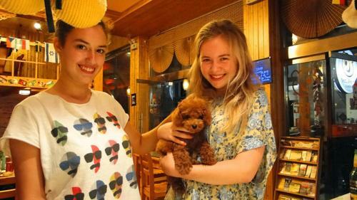 Albergue Teddy Bear Hotel
