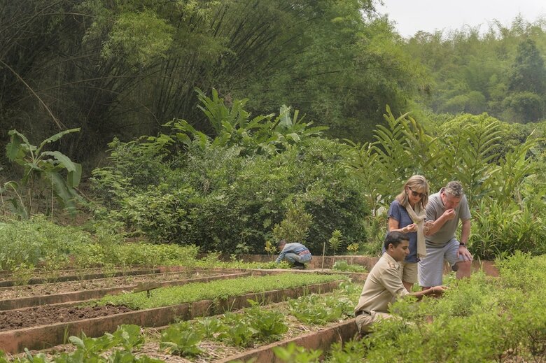Hotel Four Seasons Tented Camp Golden Triangle - All Inclusive