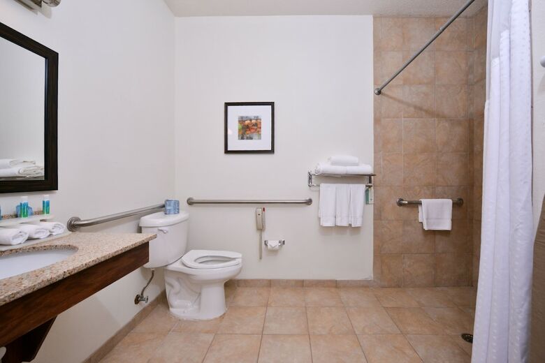 Holiday Inn Express Hotel & Suites Lancaster-lititz