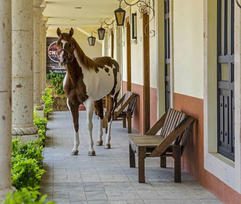 Agroturismo Chalet de Colombo Hotel