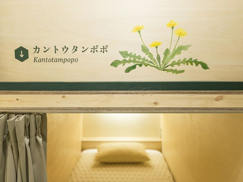 Hostal Guest House Denchi