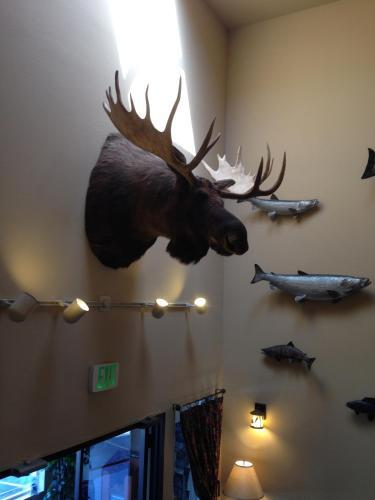 Motel Lakeshore Inn & Suites