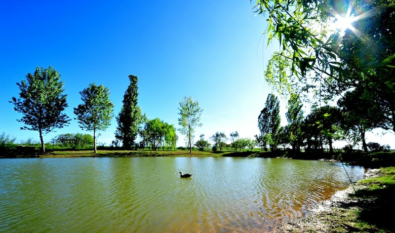 Agroturismo Agriturismo Villa Toscana