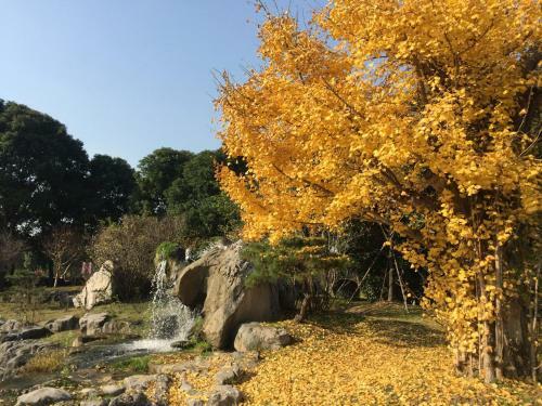 Tongli Lake View Hotel