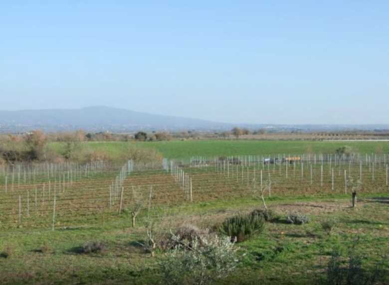 Agroturismo Agriturismo Il Marrugio