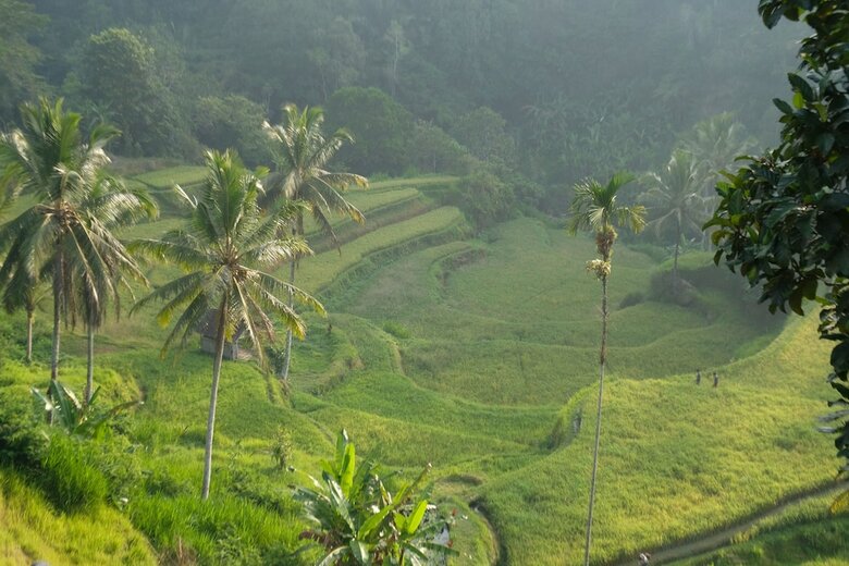 Hotel Suarapura Resort & Spa