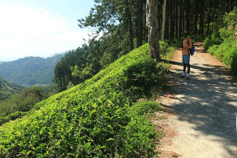 Welikande Hotel And Trekking Center