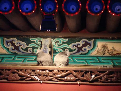 Hostal Yucheng Yuan Hotel Pingyao