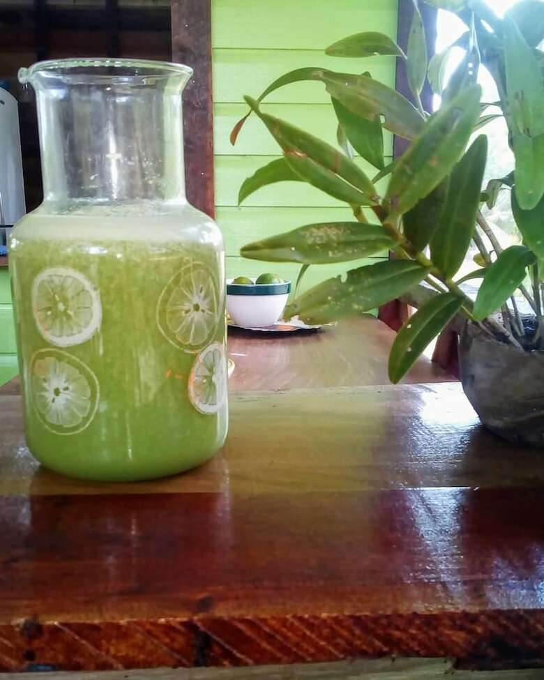 Posada Serenity Retreats Belize -a Vegan Resort