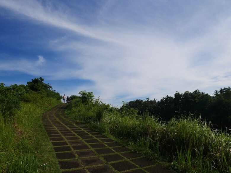 Hotel Sari Villa Ubud