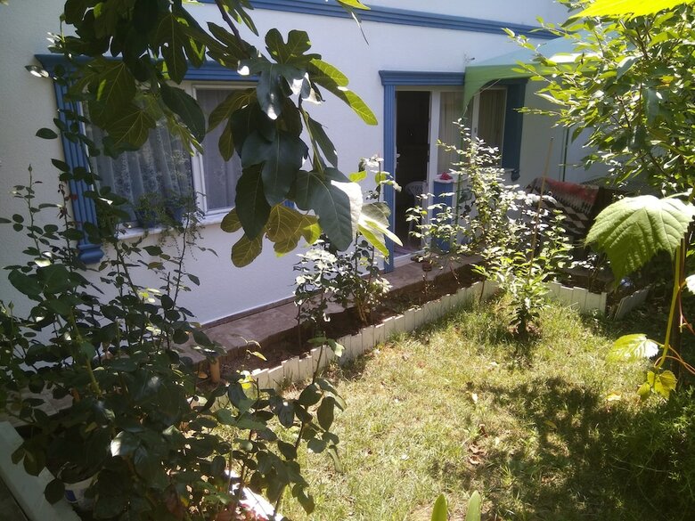 Pension Agva Ayse Hanim Guesthouse