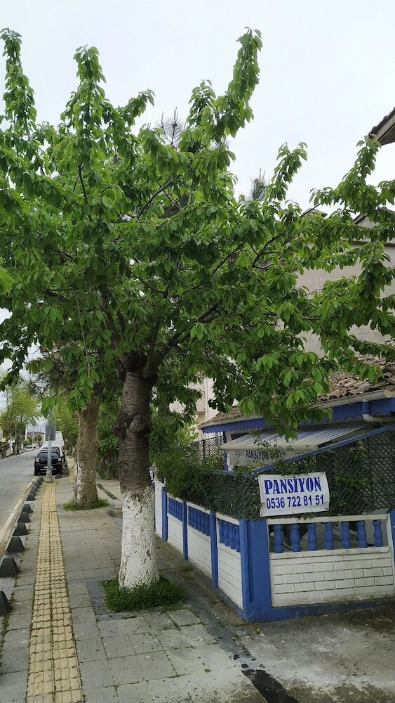 Pension Agva Ayse Hanim Guesthouse