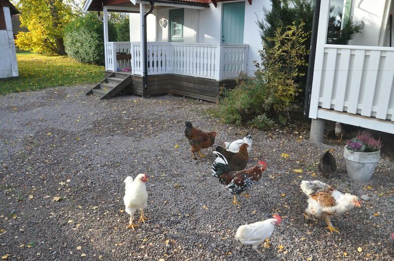 Bed & Breakfast Kullag�rden