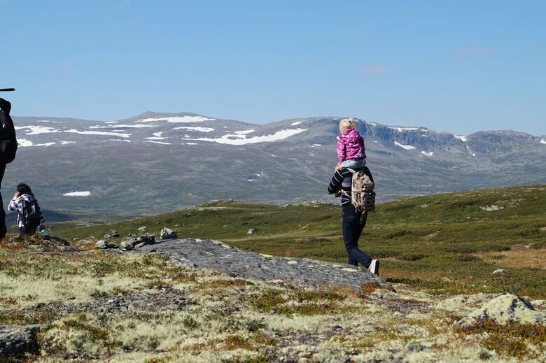 Hotel Liatoppen Fjellstue
